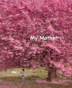 a child standing under a pink tree with the words, my mother on it's side