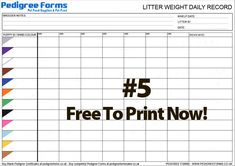 the 5 free to print now sign up