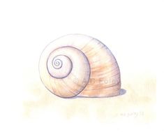 a drawing of a snail on a white background