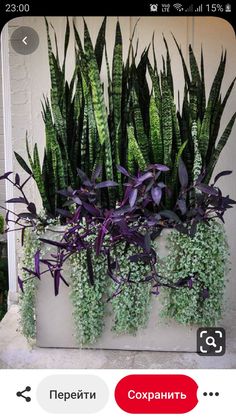 a planter filled with lots of green plants