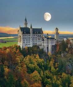 an aerial view of a castle in the middle of trees with a full moon behind it