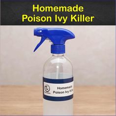 A natural solution for getting rid of poison ivy plants. Poison Ivy Spray, Poison Ivy Killer, Natural Shoe Deodorizer, Homemade Mosquito Repellent, Kill Poison Ivy, Mosquito Yard Spray, Poison Ivy Plants, Poison Ivy Remedies, Mosquito Repellent Homemade