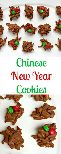 cookies made to look like animals with candy on them and the words chinese new year cookies