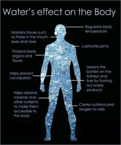 Benefits of water. Autogenic Training, Water Effect, Body Organs, The Human Body, Health Info, Body Health, Health Remedies, Holistic Health, Healthy Tips