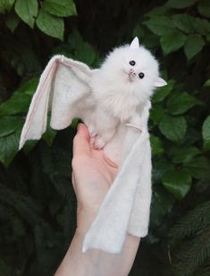 a person holding a small white cat in their hand with green leaves behind it,