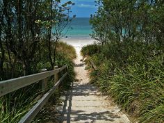 a path leading to the beach through tall grass