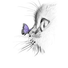 a drawing of a cat's face with a butterfly on it's nose