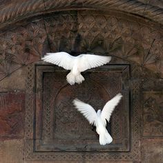 two white doves sitting on top of a window sill in an old building