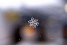 a snowflake is seen through a window