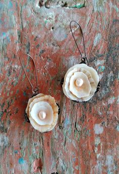 two seashells with pearls are sitting on a piece of wood