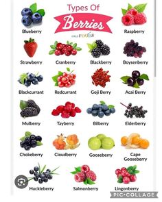 the types of berries and their names