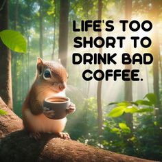 a squirrel holding a cup of coffee on top of a tree branch with the words life's too short to drink bad coffee