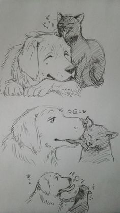 two drawings of dogs and cats with their heads resting on each other's backs