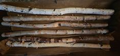 several white birch trees are stacked on top of each other in a pile with wood shavings