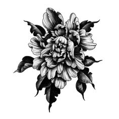 a black and white drawing of a flower