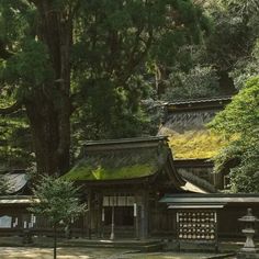 an old japanese style building in the middle of a park with trees and grass growing on top