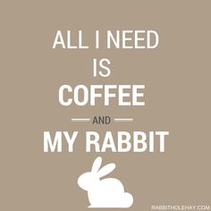 the words all i need is coffee and my rabbit are in white on a brown background