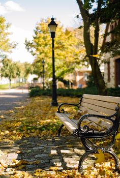 a park bench sitting in the middle of a leaf covered sidewalk next to a lamp post