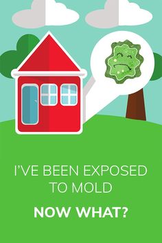 Need more guidance on mold treatment? Get my free download today and take the next step towards better health. Mold Exposure, Health Disease