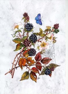 a drawing of flowers and leaves with a spider web in the center on a marble background