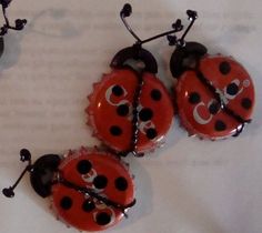 three ladybugs are sitting on top of each other