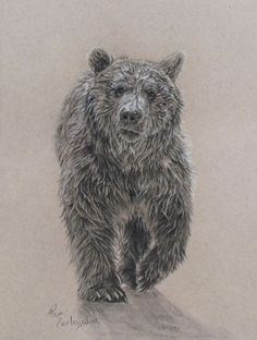 a black and white drawing of a grizzly bear standing on the edge of a cliff