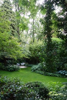 a lush green yard surrounded by trees and bushes