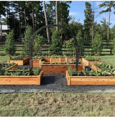 an outdoor garden area with various wooden planters and plants growing in the ground, surrounded by trees