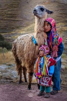 an adult and child standing next to a llama on a dirt road with mountains in the background