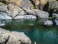 people swimming in the water near some rocks