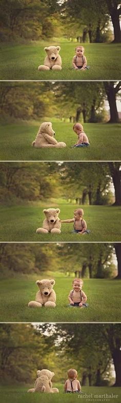 a teddy bear sitting in the grass with four different pictures behind it that show him