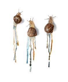 three snails hanging from the side of each other on a white wall with watercolor paint