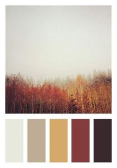 the color palette is brown, yellow and red