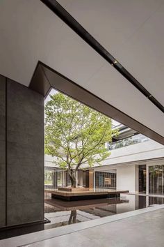 an empty courtyard with a tree in the center and water on the ground below it