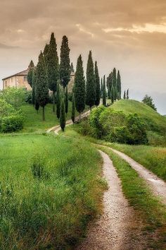 a dirt road going through a lush green field with trees on the hill in the background