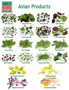 Asian Spices, Nutrition Chart, Chinese Herbs, Culinary Herbs