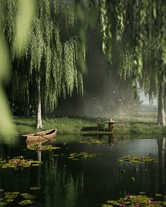 there is a boat that is sitting on the water in front of some trees and lily pads