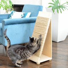 a cat playing with a scratching board on the floor in front of a blue chair