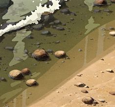 an image of rocks and water in the sand at the edge of the shore line