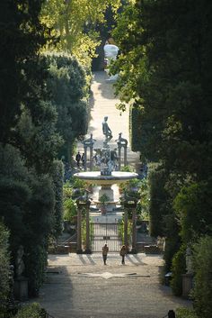 an aerial view of a garden with trees and people in the distance walking through it