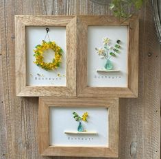 three framed pictures with flowers in them hanging on a wooden wall next to a plant