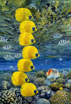 a group of yellow fish swimming over a coral covered ocean floor next to an underwater scene