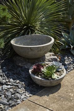 a stone bowl sitting on top of a gravel ground next to a planter filled with succulents