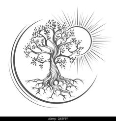 a tree with roots in the shape of a circle on a white background, black and white illustration