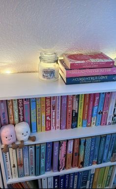 a book shelf filled with lots of books and a stuffed animal on top of it