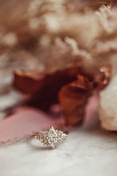 an engagement ring sitting on top of a table next to dried flowers and leaves in the background