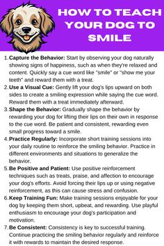 a dog's face with the words how to teach your dog to smile on it