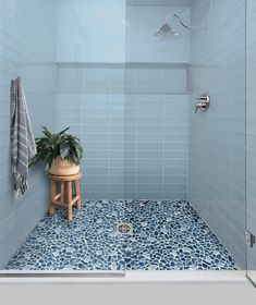 a blue tiled bathroom with a plant in the corner and a stool next to it