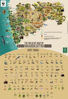 Green Humour: The Wildlife Map of Maharashtra Indian Giant Squirrel, Facebook Green, Giant Squirrel, Wildlife Of India, Baleen Whales, West Home, African Wild Dog, Western Ghats