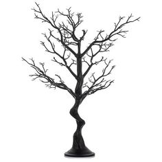 a tree with no leaves on it is in a black vase and stands against a white background